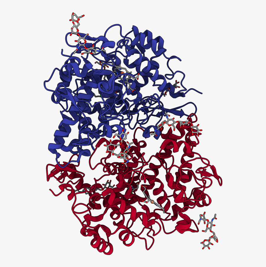 Chains Colored In Rainbow Clipart , Png Download - Illustration, Transparent Clipart