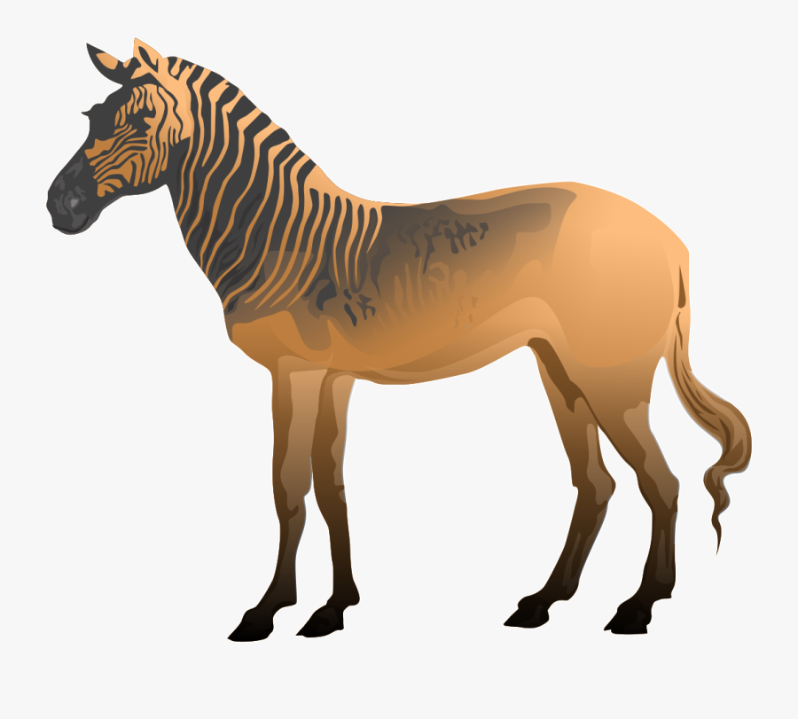 Free To Use &amp, Public Domain Extinct Animals Clip - Quagga Clipart, Transparent Clipart