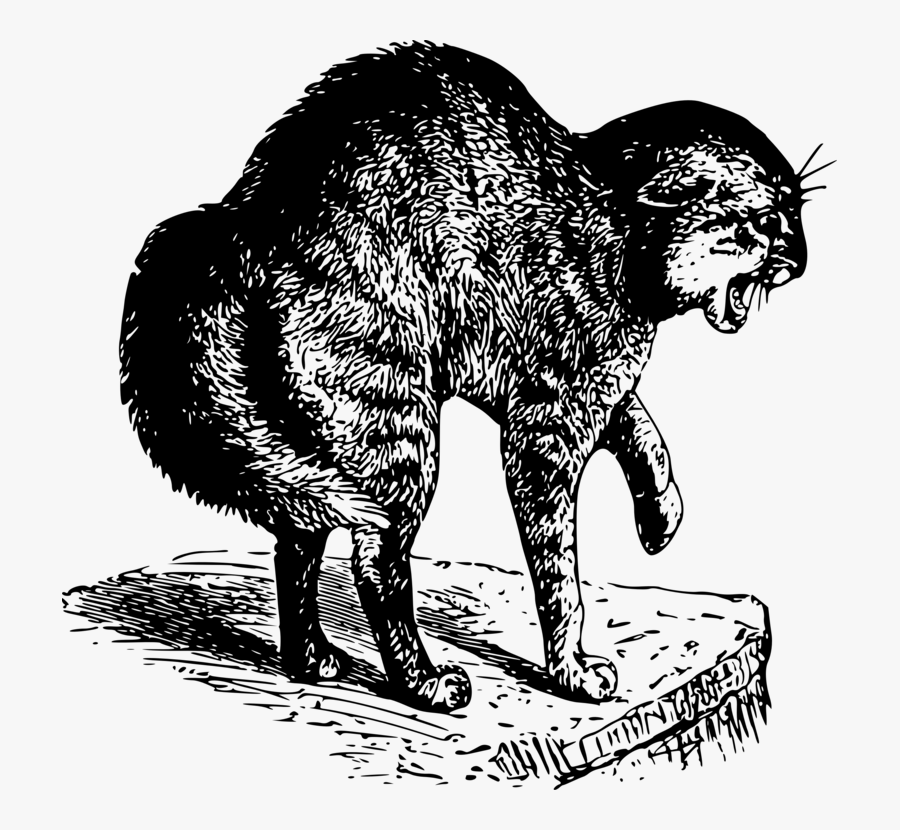 Wildlife,extinction,art - Scaredy Cat Clipart, Transparent Clipart