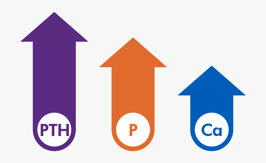 Medicine Clipart Iv Medication, Transparent Clipart