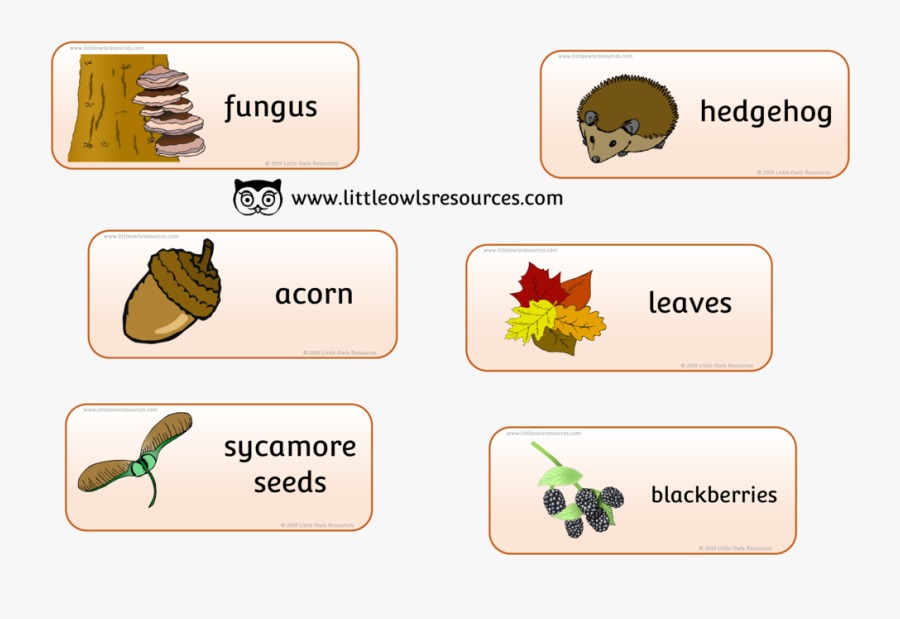 Autumnwordscover, Transparent Clipart