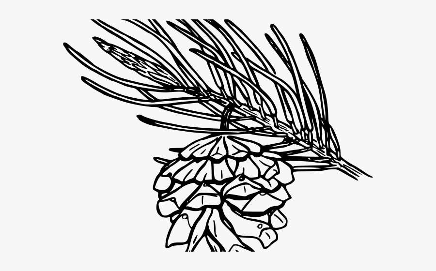 Pine Cone Clipart Drawn - Pine Leaf, Transparent Clipart