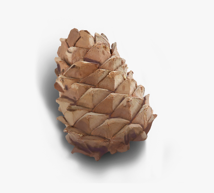 Conifer-cone - Conifer Cone, Transparent Clipart