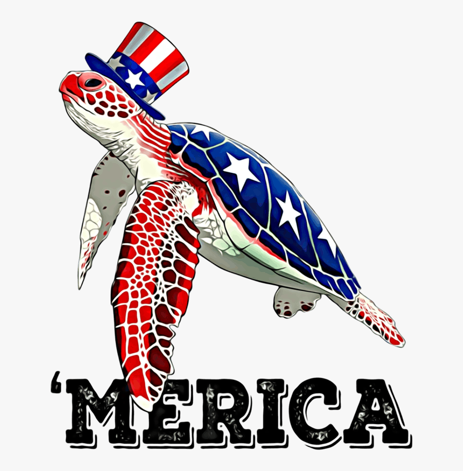 4th Of July Turtle, Transparent Clipart