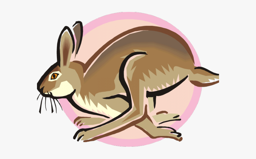 Hase Clipart, Transparent Clipart