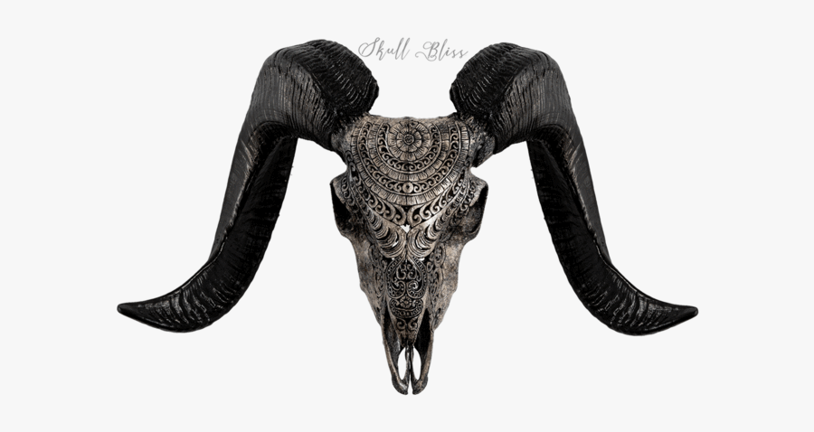 Carved Ram Skull - Horn, Transparent Clipart