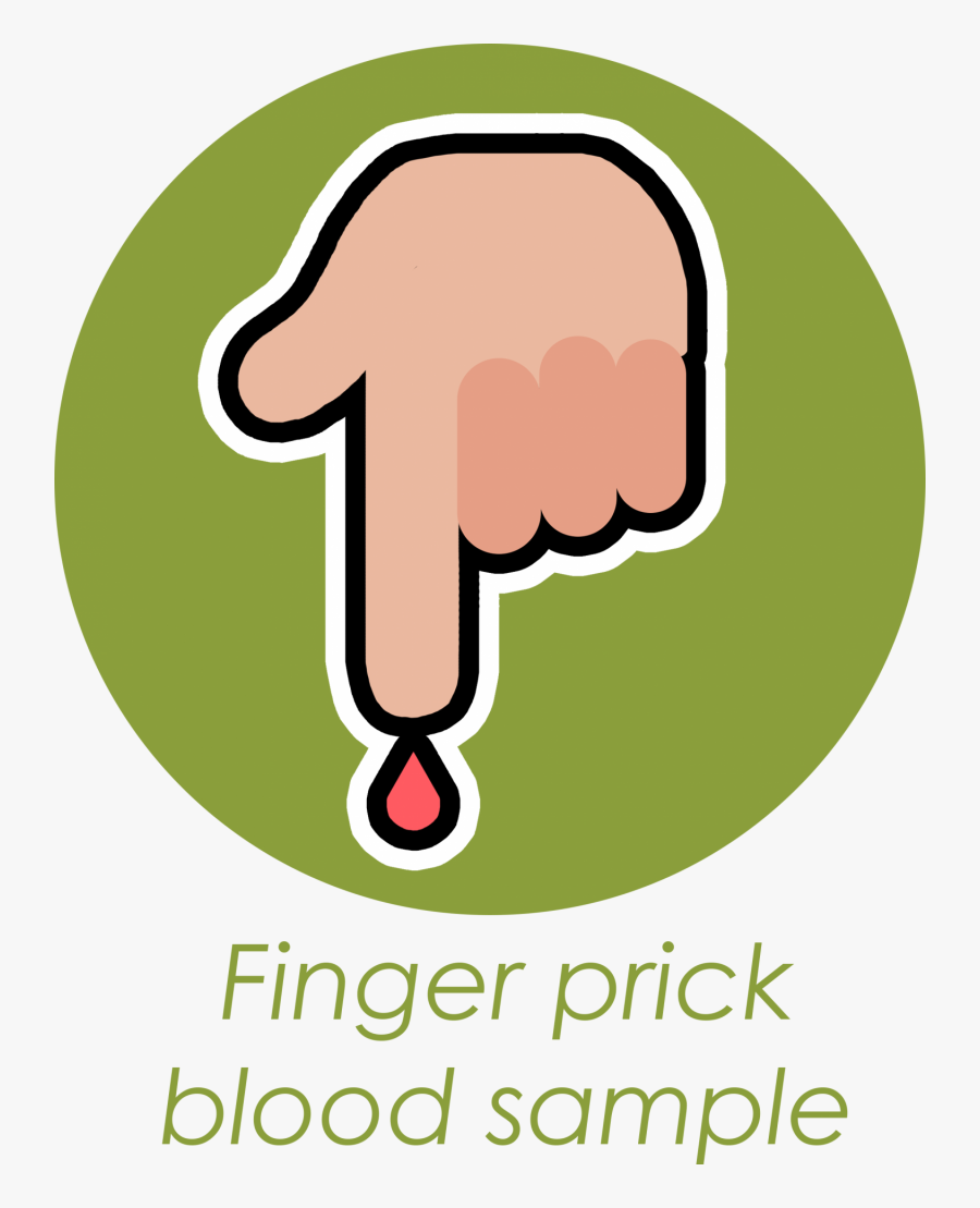 Food Clipart Folate Health - Indian Elephant, Transparent Clipart