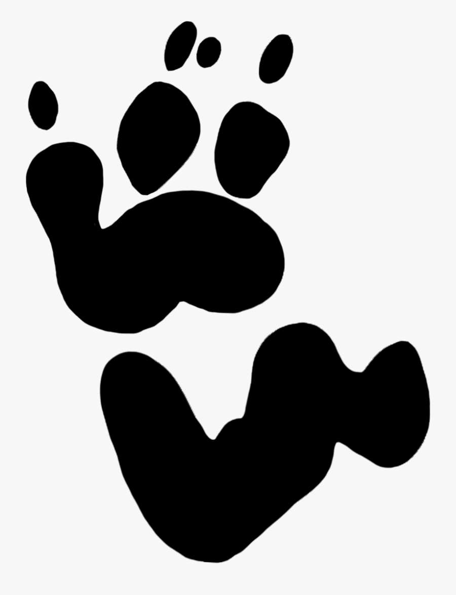 Dog Print Cliparts For Free Paws Clipart Paddington - Koala Bear Koala Footprint, Transparent Clipart