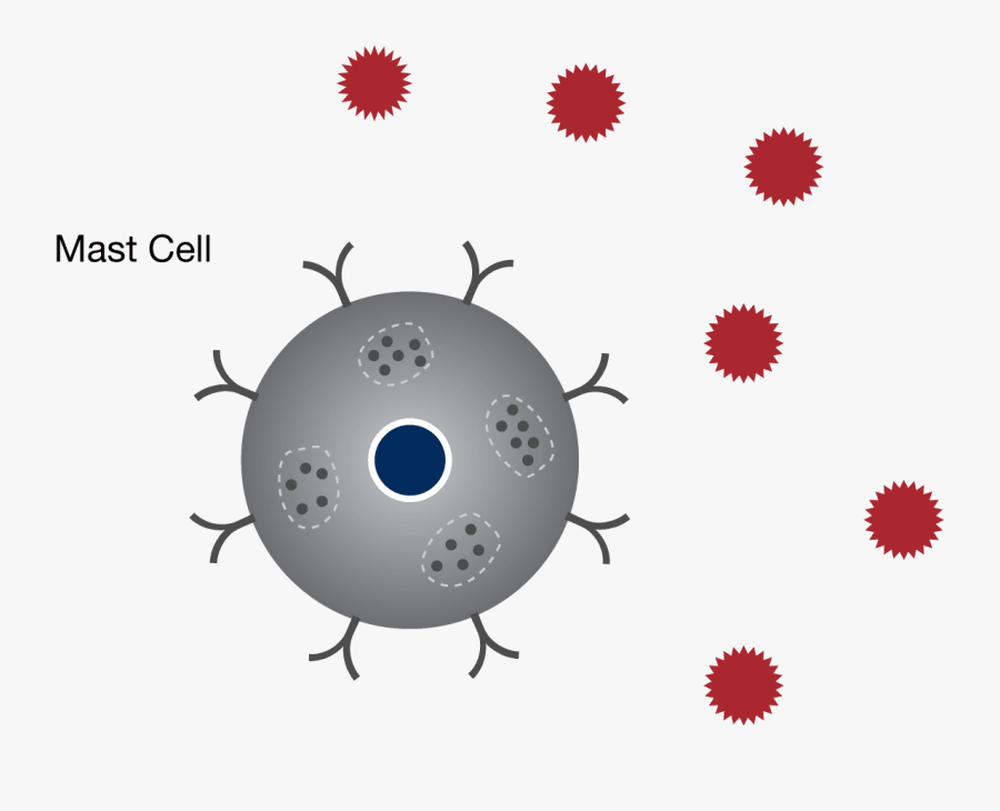 A Mast Cell Surrounded By Allergens - Whole Genome Sequencing Png, Transparent Clipart
