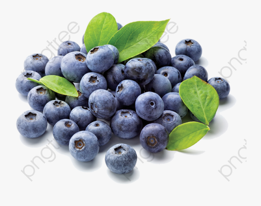 Blueberry Clipart Transparent Background - Blueberries Grown In India, Transparent Clipart