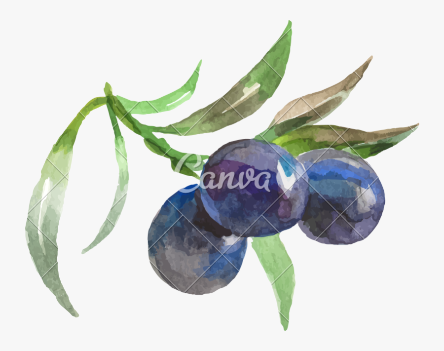 Watercolor Painting Of Grapes Vector Icon Illustration - Watercolor Painting, Transparent Clipart