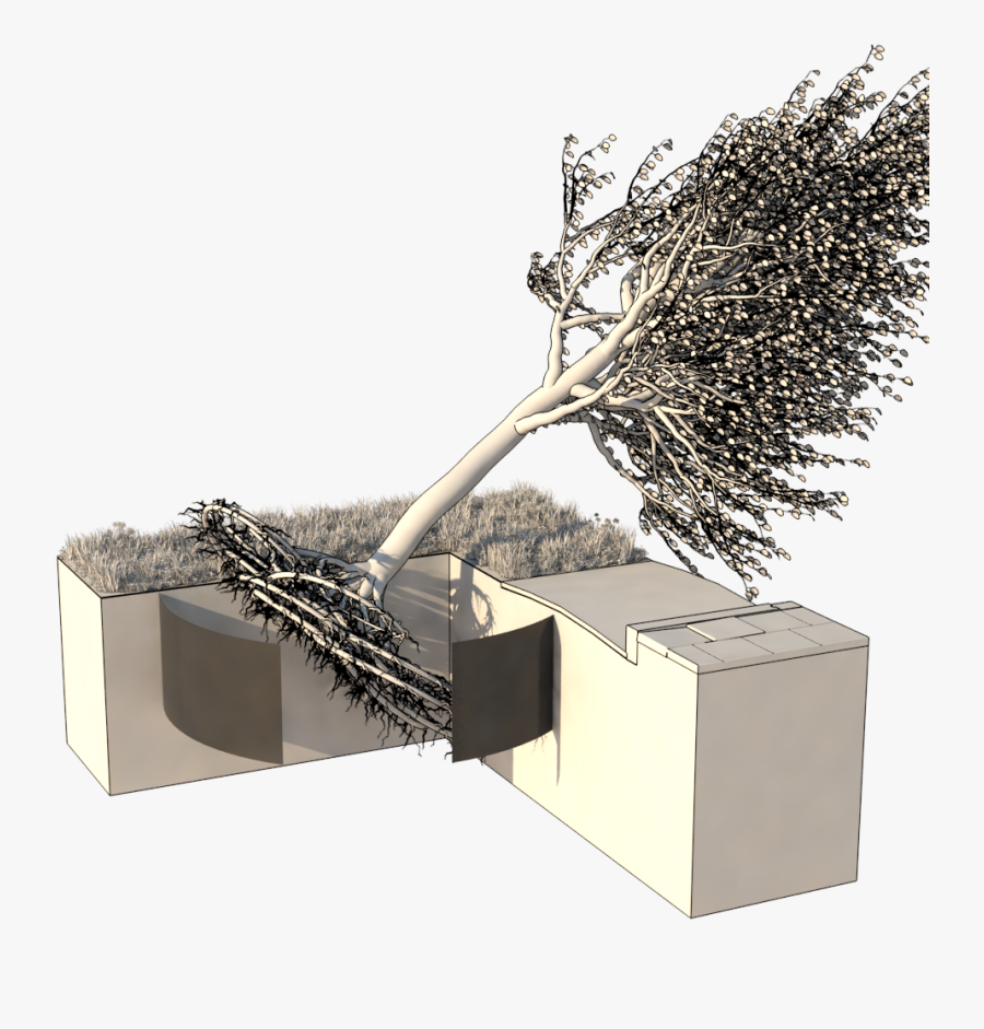 Ribs Prevent The Roots From Growing Within The Cylinder - Architecture, Transparent Clipart