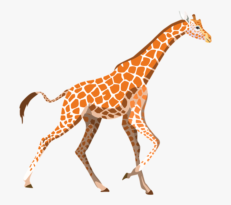 Zoo Animals Clip Art At Clker - Giraffe Png, Transparent Clipart