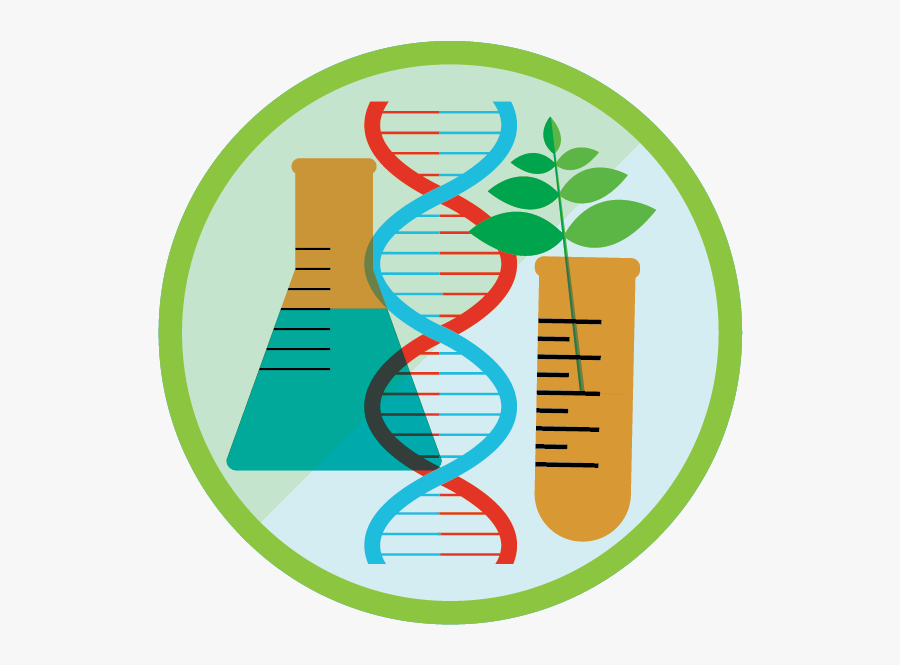 View Challenge Intro To, Transparent Clipart