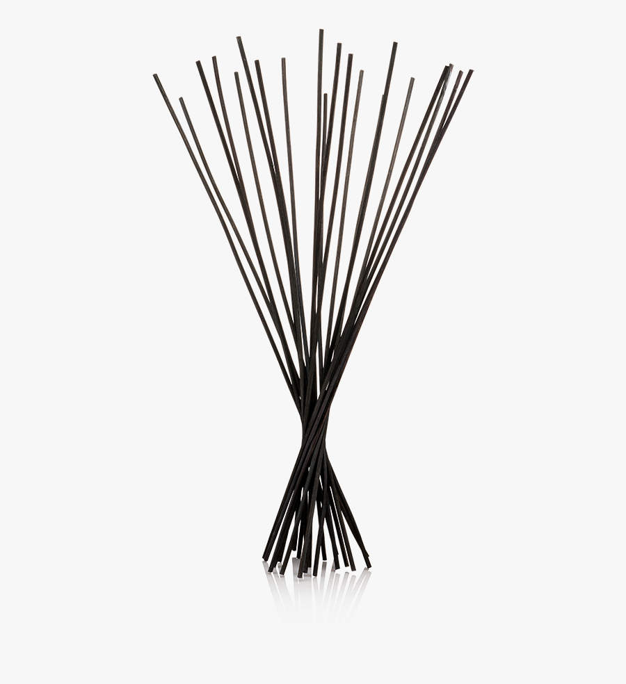 Line Art - Vase, Transparent Clipart