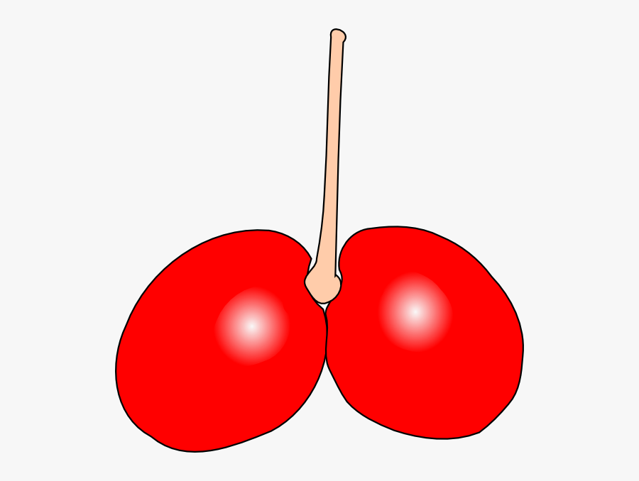 Cherry Double 2 Svg Clip Arts - Halimbawa Ng Pie Graph, Transparent Clipart