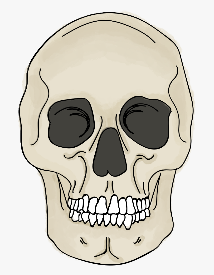 Skull, Transparent Clipart