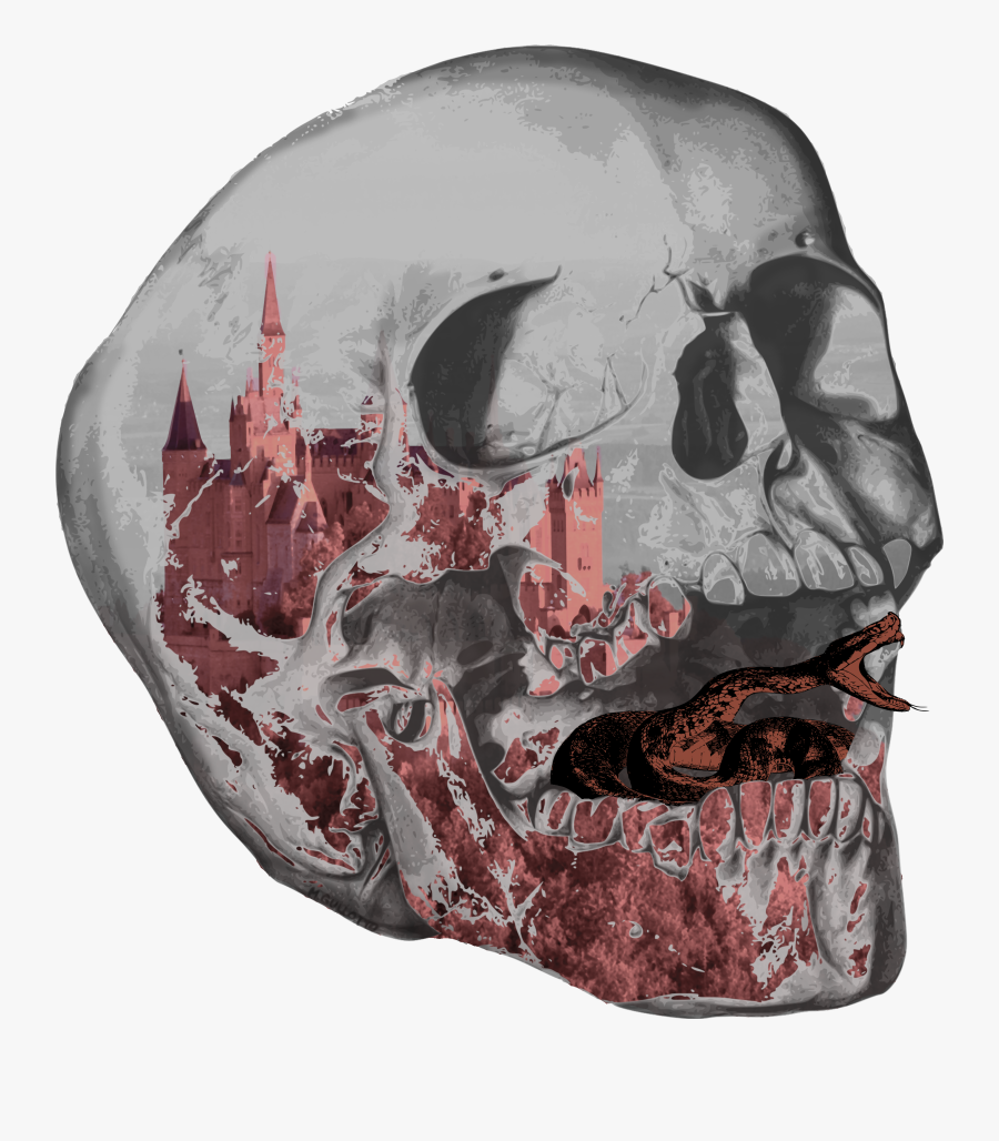 Skull - Skull Drawing, Transparent Clipart