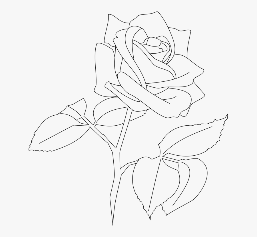 Art,symmetry,monochrome Photography - White Rose Outline Png, Transparent Clipart