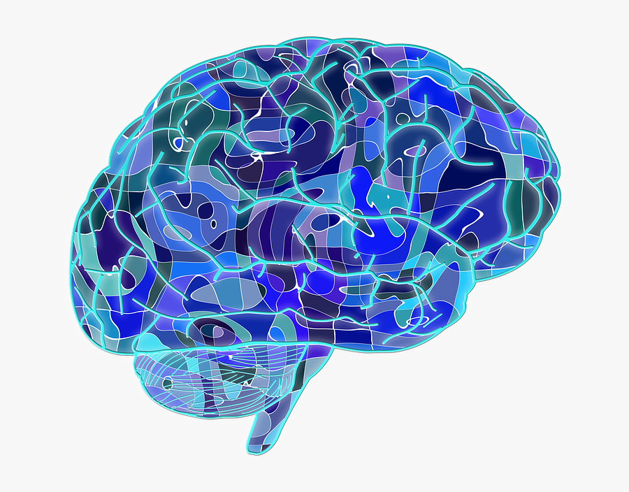 Creative Illustration Of The Brain - Psychology Brain Transparent, Transparent Clipart