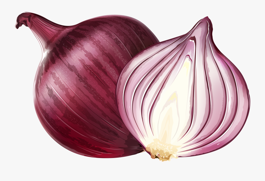 Red Onion Euclidean Vector Illustration - Onion Png, Transparent Clipart