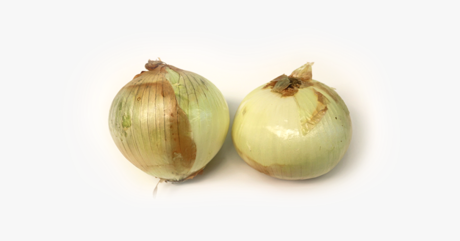 Transparent Onion Slice Png - Onion Vegetable Or Fruit, Transparent Clipart