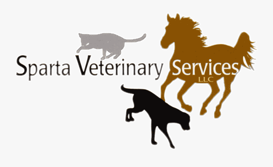 Sparta Veterinary Services Logo - Dog Catches Something, Transparent Clipart