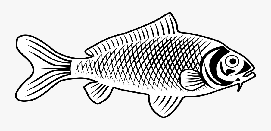 Fish Clip Free Stock - Fish Images Line Art, Transparent Clipart