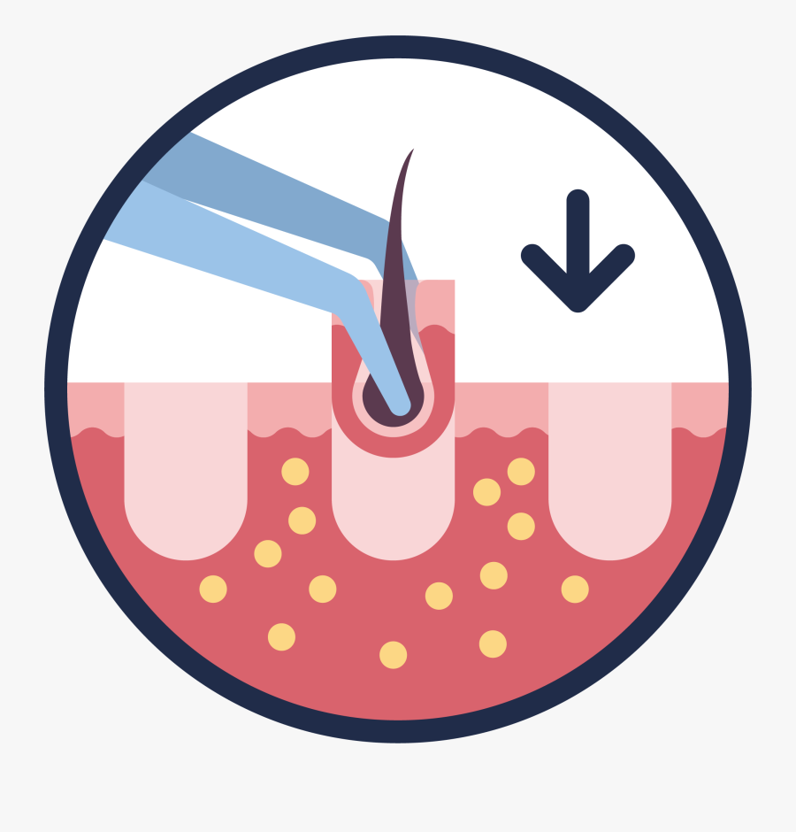 Circle, Transparent Clipart