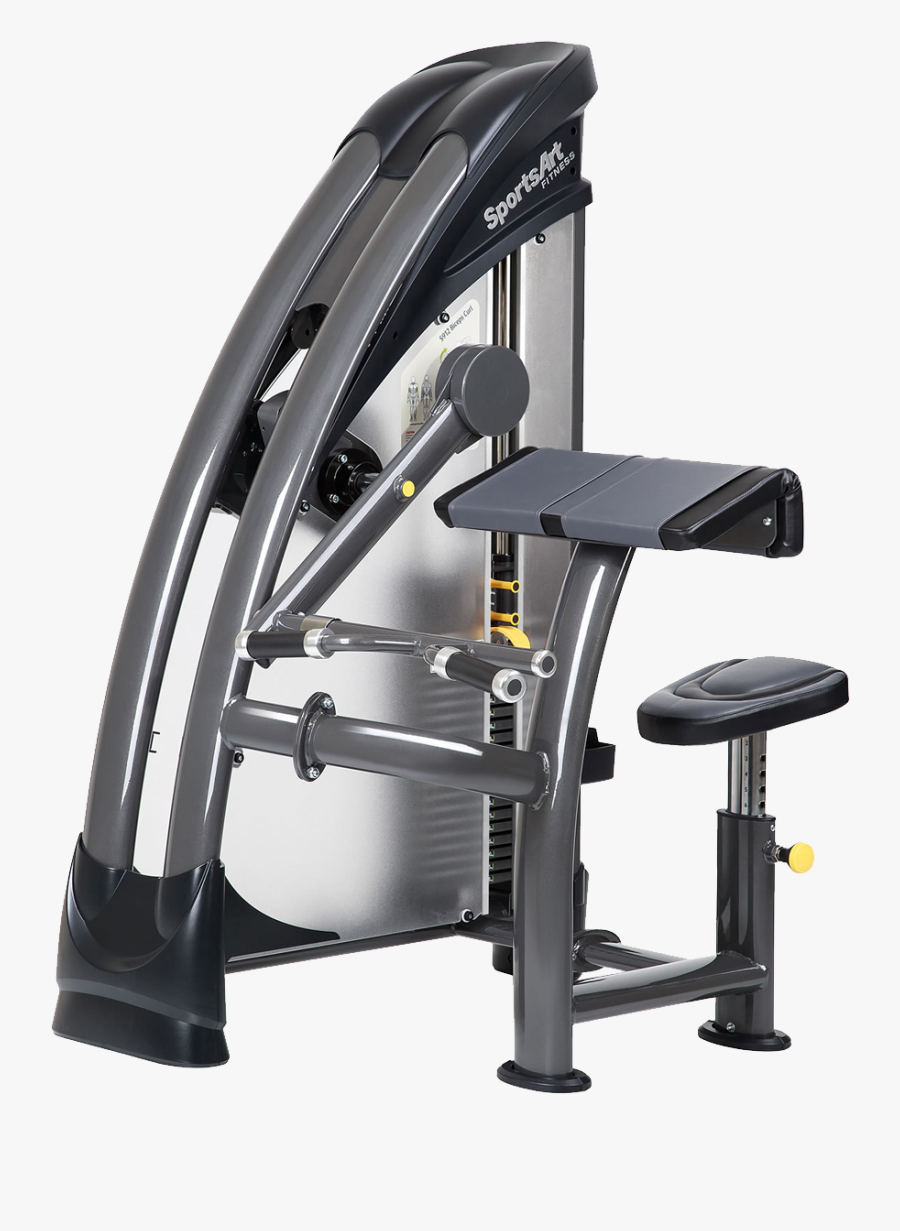 Transparent Biceps Png - Sportsart Biceps Curl, Transparent Clipart