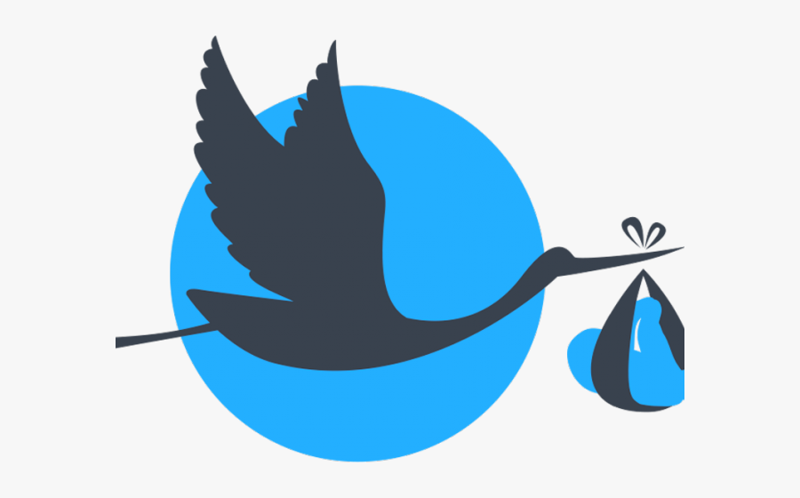 Baby Boy Stork Png, Transparent Clipart