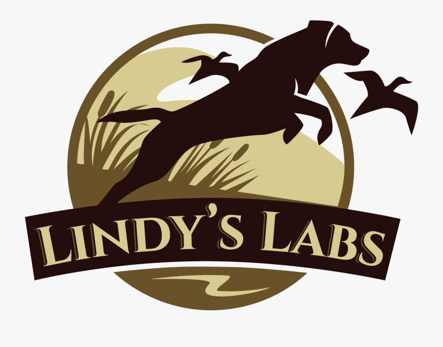 Image1 - Illustration, Transparent Clipart