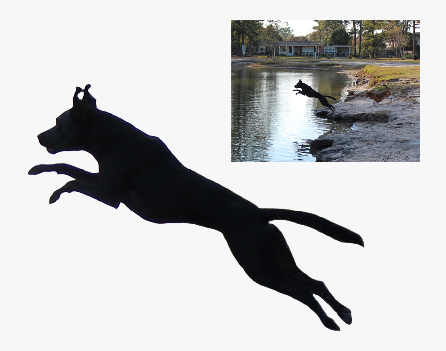 Labrador Retriever Cougar American Pit Bull Terrier - Jumping Dog Silhouette Png, Transparent Clipart