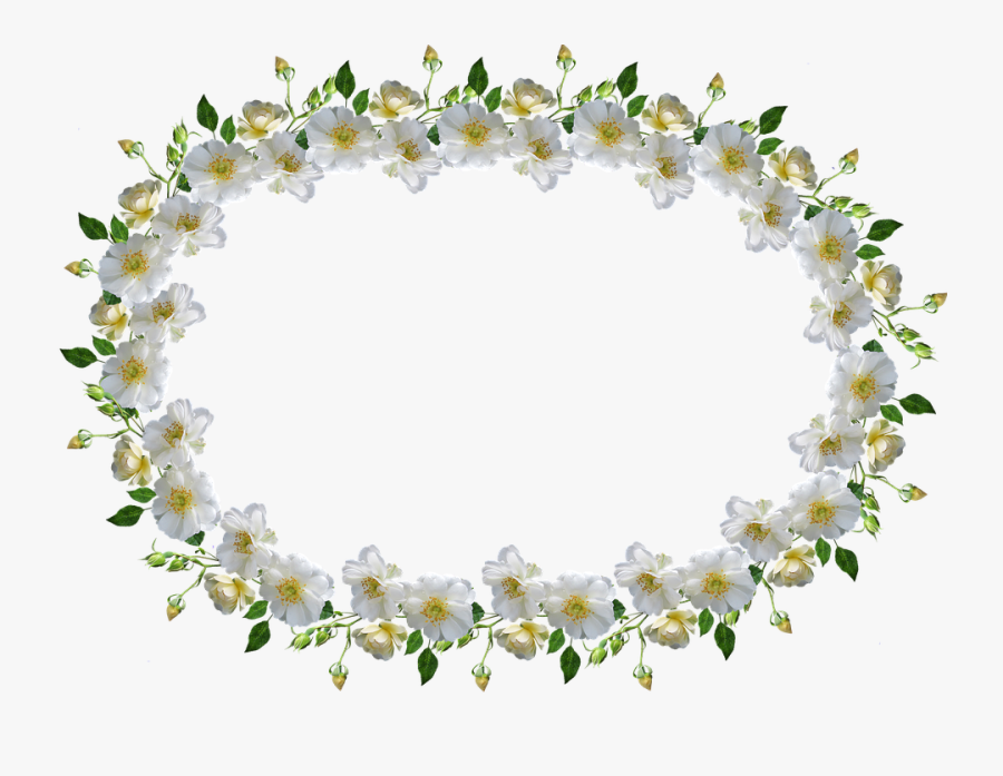 Frame, Border, White Rose, Floral - Frame Border Bingkai Bunga, Transparent Clipart