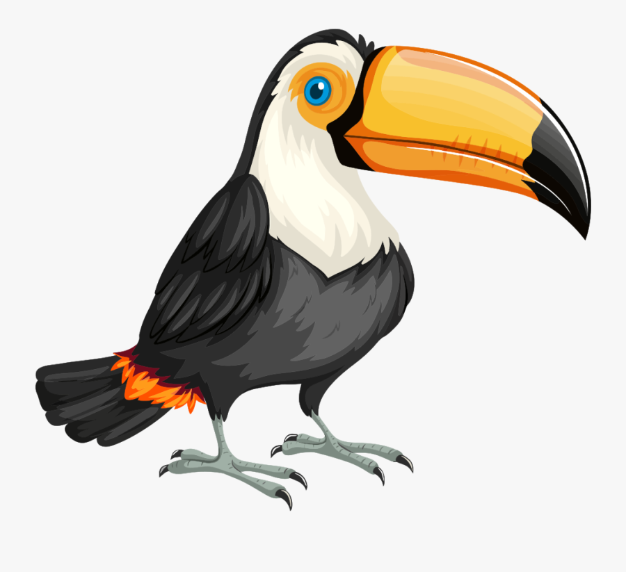 Cute Toucan - Tucan Png, Transparent Clipart