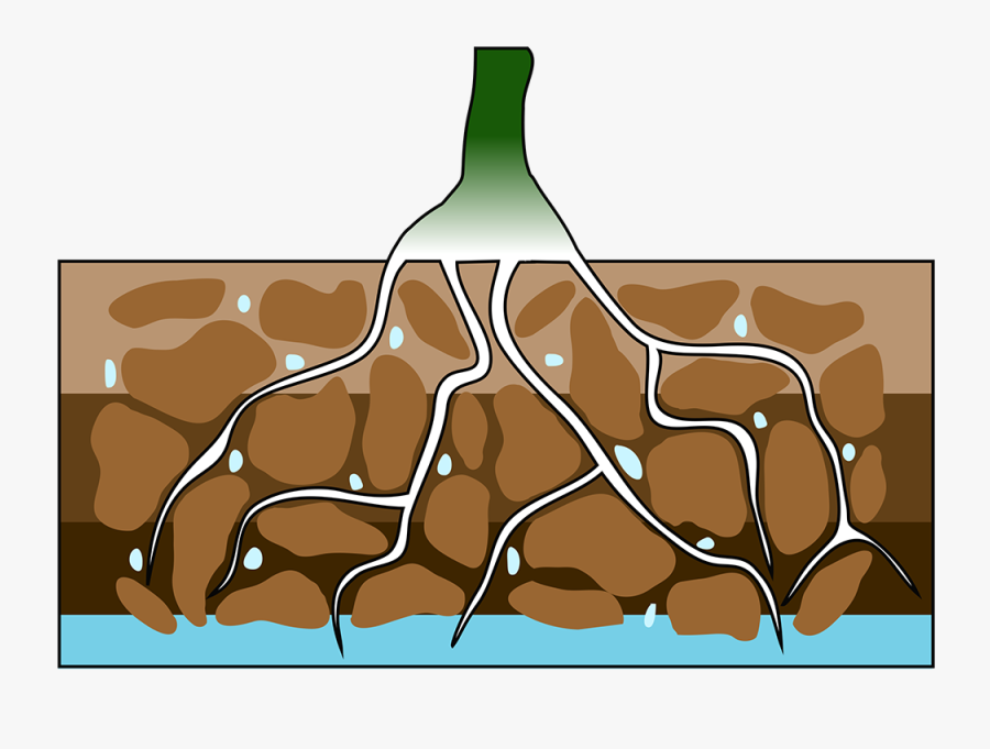 Well Drained Soils, Transparent Clipart