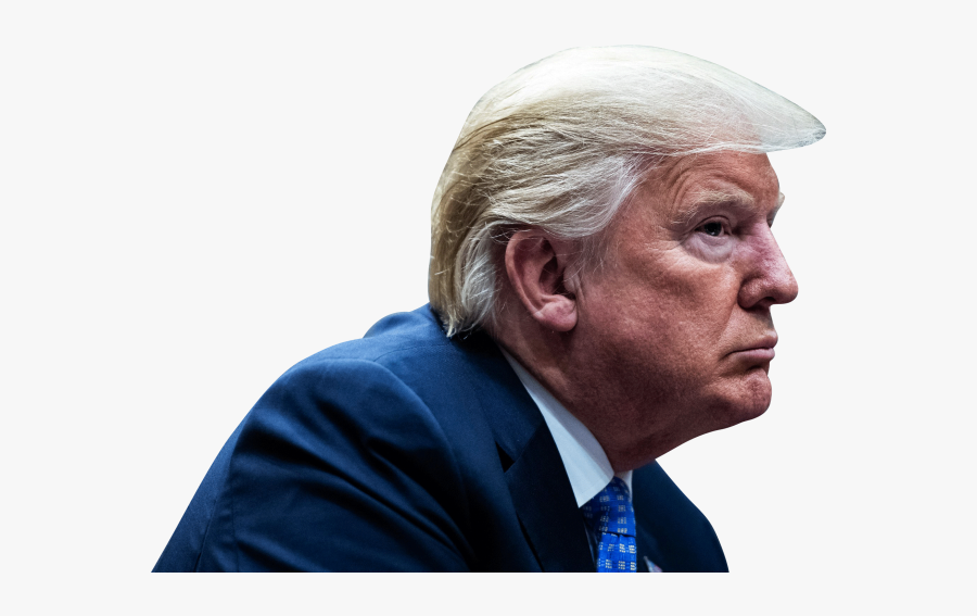 Donald Trump Png Image Free Download Searchpng, Transparent Clipart
