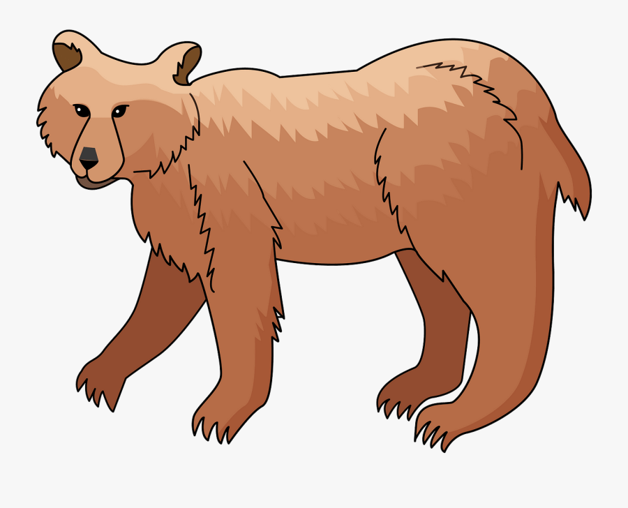 Grizzly Bear, Transparent Clipart