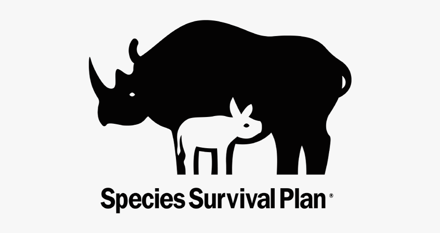 Species Survival Plan Png, Transparent Clipart