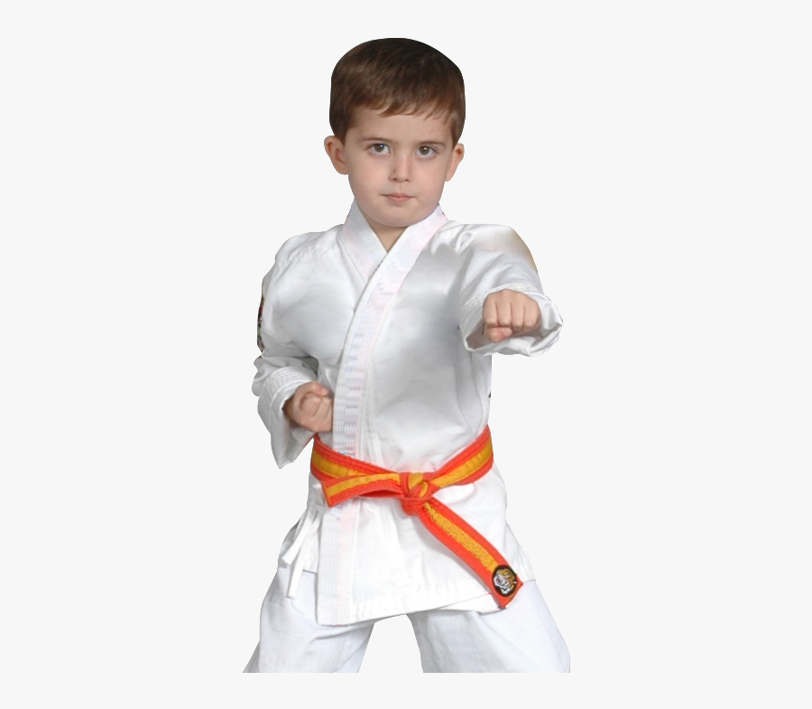 Young Boy Punching - Karate, Transparent Clipart