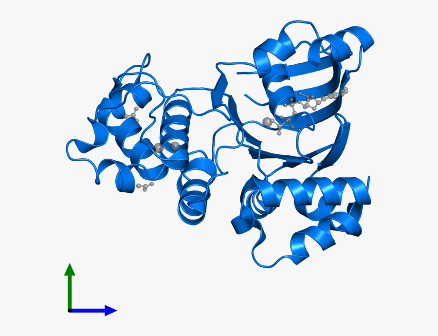 Graphic Design, Transparent Clipart