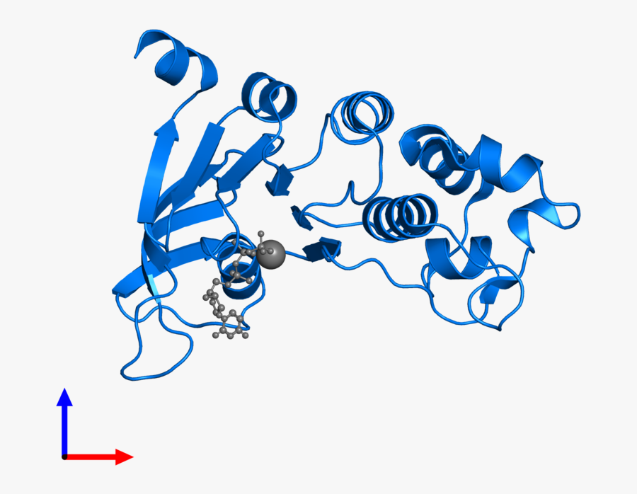 Graphic Design, Transparent Clipart