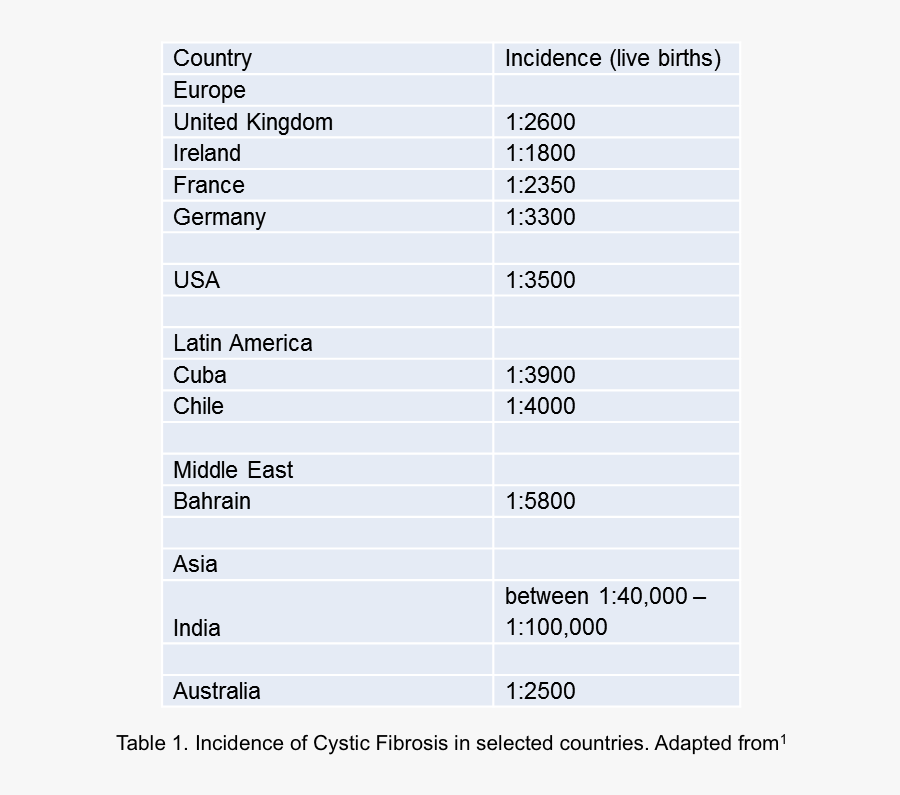 Screenshot, Transparent Clipart