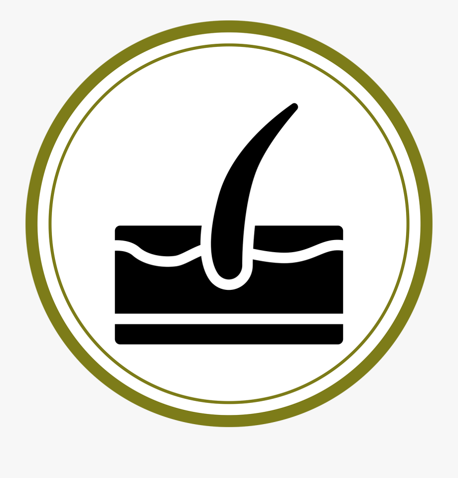 One Hair Png Clipart , Png Download - Dermatology Icon, Transparent Clipart