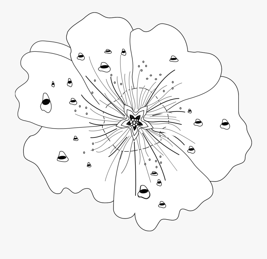 Illustration, Transparent Clipart