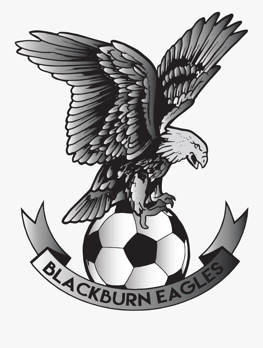 Pro Football Academy Futures - Blackburn Eagles, Transparent Clipart