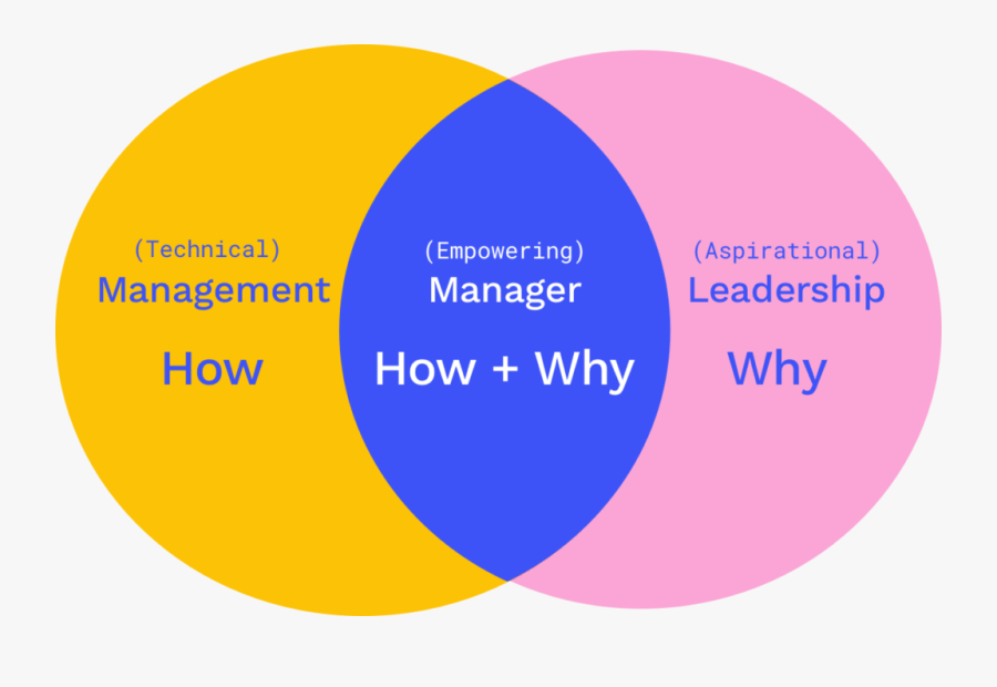 Venn Diagram Combining Management And Leadership (the - Circle, Transparent Clipart