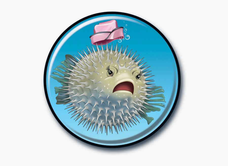 Circle, Transparent Clipart