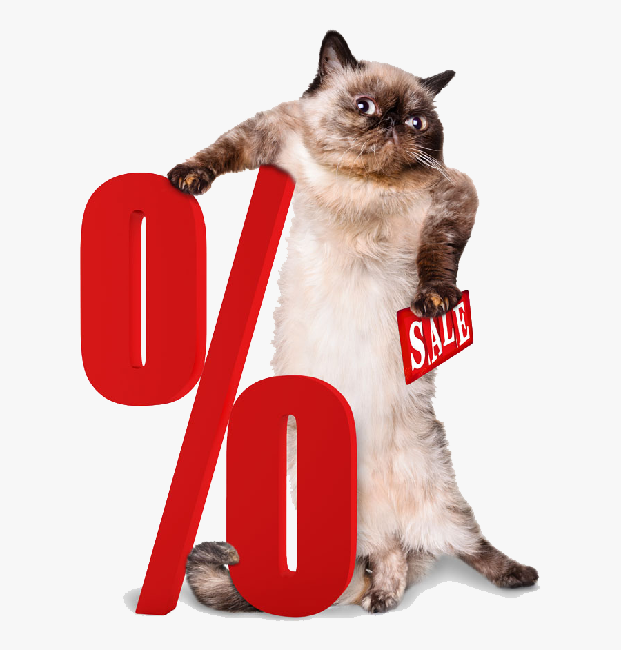 Percentage Png Clipart - Cat With Suitcase, Transparent Clipart
