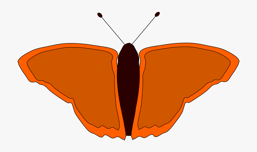 Orange Butterfly - فراشة برتقالية, Transparent Clipart